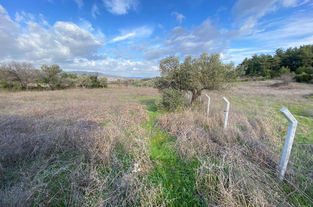 Urla Keklıktepe satılık denız manzaralı arazı