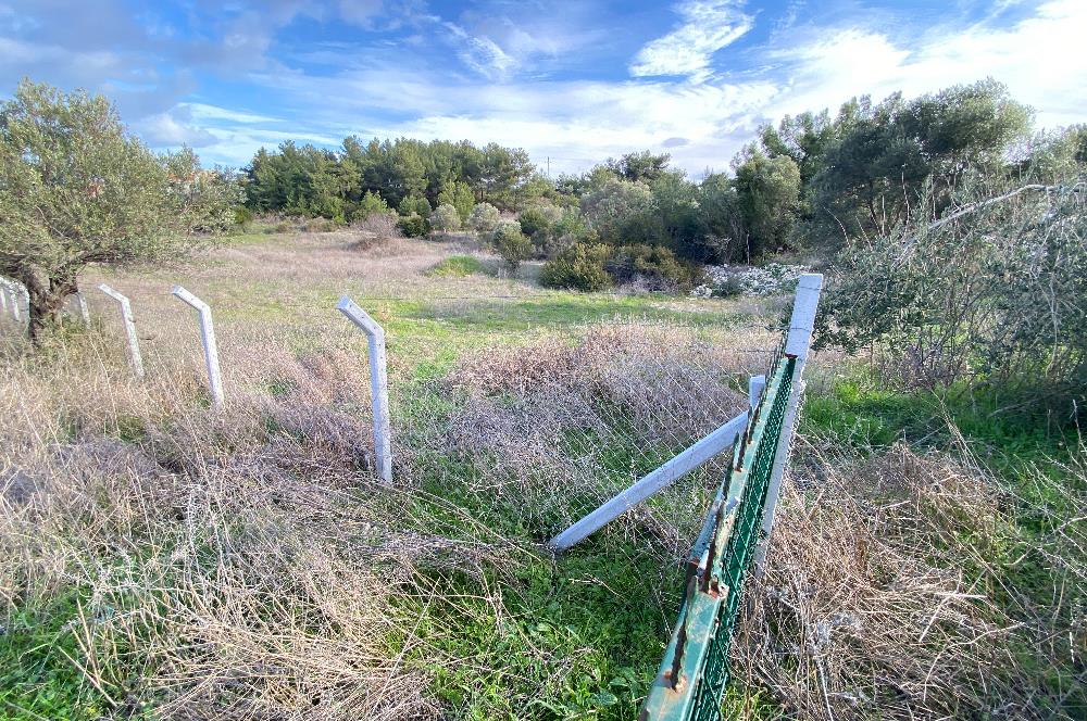 Urla Keklıktepe satılık denız manzaralı arazı