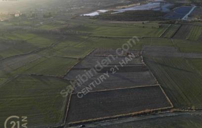 BURDUR BUCAK KESTEL SATILIK TARLA