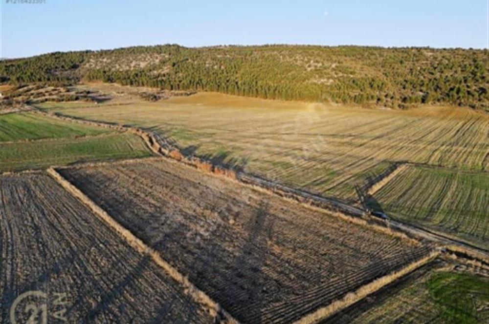 BURDUR BUCAK KESTEL SATILIK TARLA