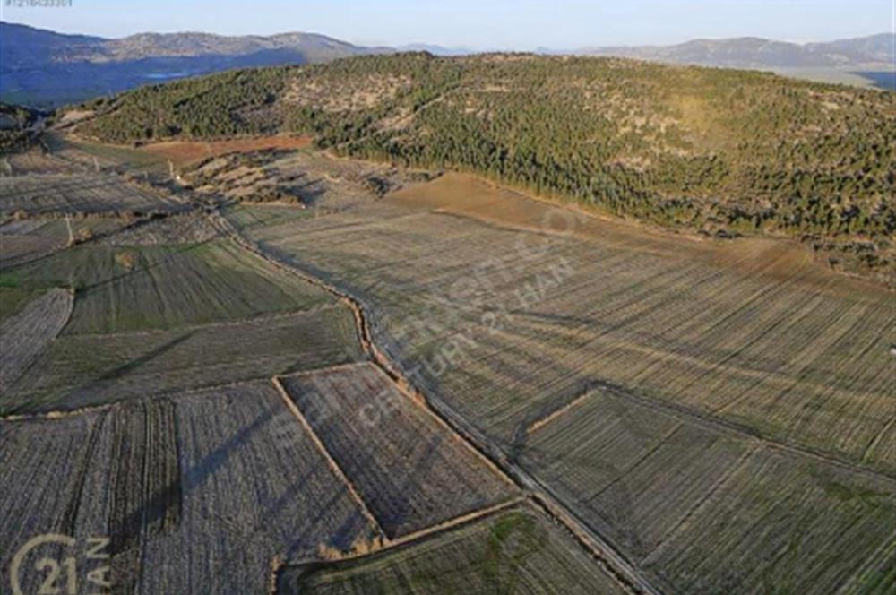 BURDUR BUCAK KESTEL SATILIK TARLA