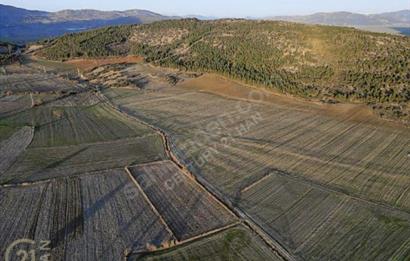 BURDUR BUCAK KESTEL SATILIK TARLA