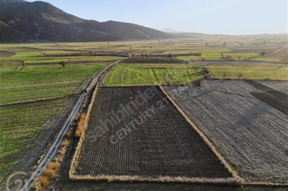 BURDUR BUCAK KESTEL SATILIK TARLA