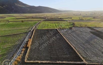 BURDUR BUCAK KESTEL SATILIK TARLA