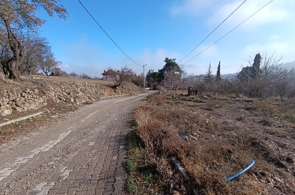 Acıpayam Çamlık Mahallesinde Bulunan Arsa ve Bahçemiz SATILIKTIR.