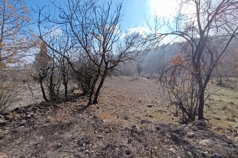 Acıpayam Çamlık Mahallesinde Bulunan Arsa ve Bahçemiz SATILIKTIR.