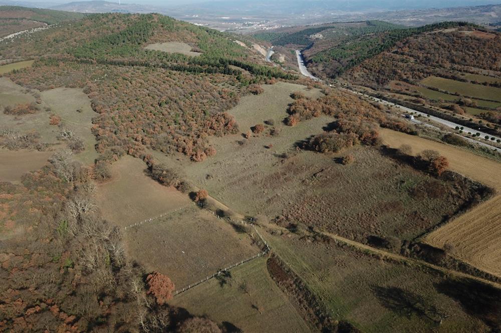 C21 WİNNER BALIKESİR YENİKÖY MAHALLESİNDE 4.208M2 SATILIK TARLA