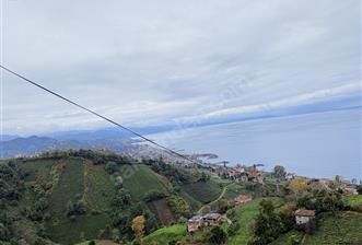 Trabzon Of Eskipazar Merkez'de Deniz Doğa Manzaralı Villa