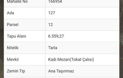 CENTURY21 BAL'DAN KARESİ ÜÇPINAR MAH.DE 6559 M2 SATILIK TARLA