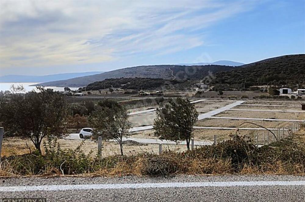 İzmir Urla Demircili Koyunda Tinyhouse için Uygun Satılık Arsa