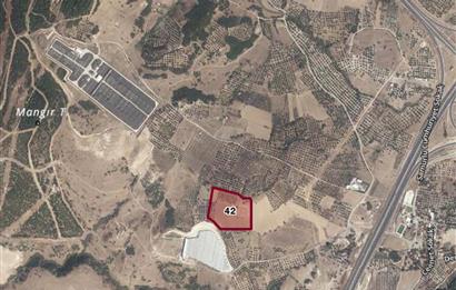 Aliağa Samurlu da 28.800 m2 Satılık Tarla