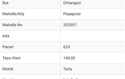 C21 Cius; Ana Yola Cephe 166 M2 Fırsat Tarla Yatırımlık