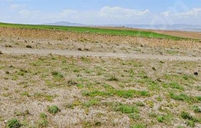 C21 Cius; Konut İmarlı Yatırımlık Arsa