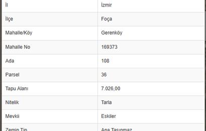 FOÇA GERENKÖY'DE SATILIK 1171 M2 TARLA