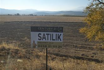 Denizli-Afyon Karayolu’na Komşu Bozkurt/Alikurt’ta 3 Adet Tarla SATILIKTIR.