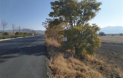 Denizli-Afyon Karayolu’na Komşu Bozkurt/Alikurt’ta 3 Adet Tarla SATILIKTIR.