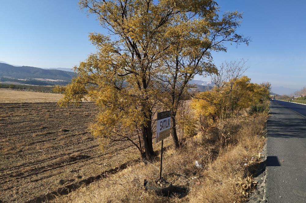 Denizli-Afyon Karayolu’na Komşu Bozkurt/Alikurt’ta 3 Adet Tarla SATILIKTIR.