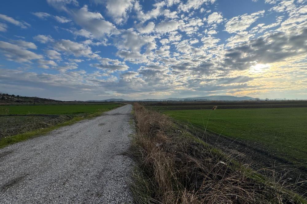 FOÇA GERENKÖY'DE YOL KENARINDA SATILIK 4731 M2 TARLA