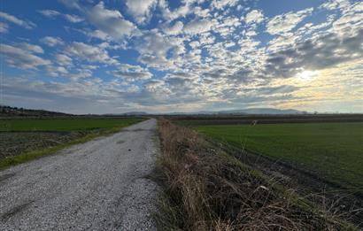 FOÇA GERENKÖY'DE YOL KENARINDA SATILIK 6304 M2 TARLA