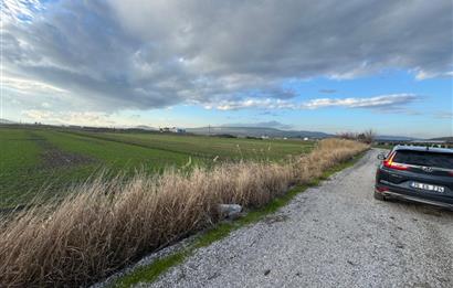 FOÇA GERENKÖY'DE YOL KENARINDA SATILIK 4731 M2 TARLA