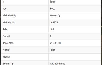 FOÇA GERENKÖY'DE YOL KENARINDA SATILIK 4731 M2 TARLA