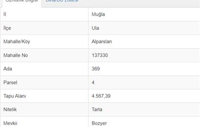 Muğla Ula Alparslan Mahallesinde Müstakil Tapulu Satılık Tarla