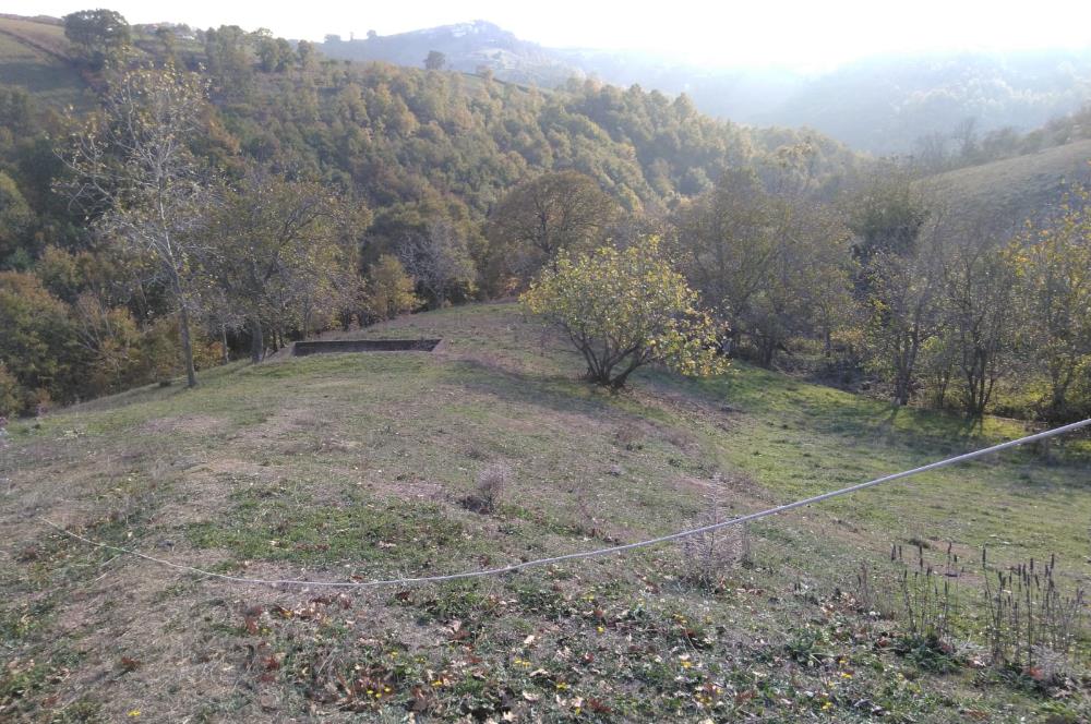 ÇANAKKALE BİGA ELMALI KÖYÜ SATILIK ARSA