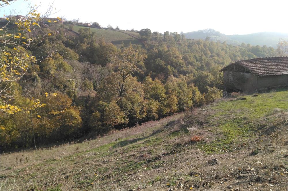 ÇANAKKALE BİGA ELMALI KÖYÜ SATILIK ARSA