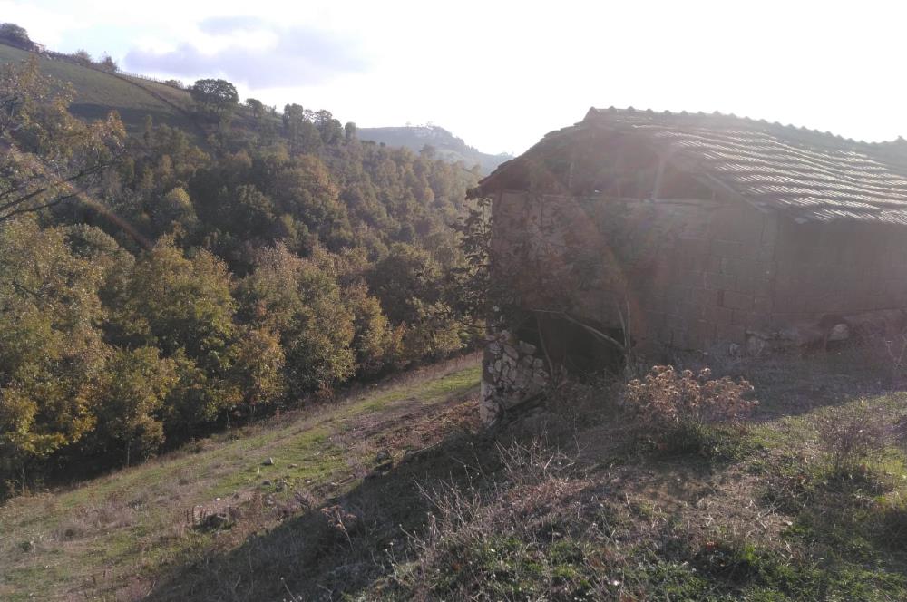 ÇANAKKALE BİGA ELMALI KÖYÜ SATILIK ARSA