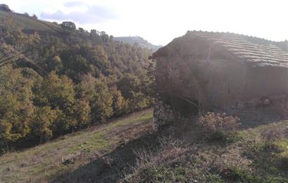 ÇANAKKALE BİGA ELMALI KÖYÜ SATILIK ARSA