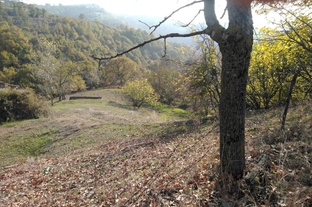 ÇANAKKALE BİGA ELMALI KÖYÜ SATILIK ARSA