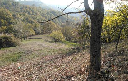 ÇANAKKALE BİGA ELMALI KÖYÜ SATILIK ARSA