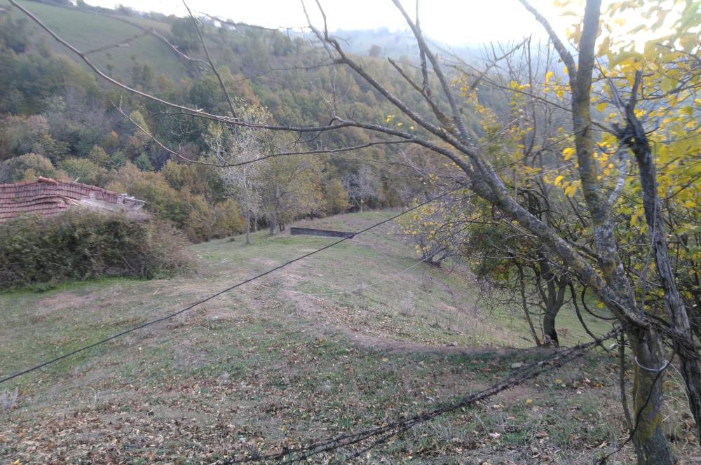 ÇANAKKALE BİGA ELMALI KÖYÜ SATILIK ARSA