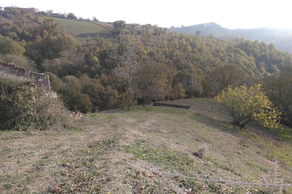 ÇANAKKALE BİGA ELMALI KÖYÜ SATILIK ARSA