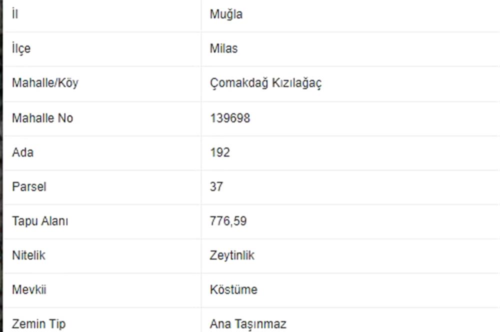 MUĞLA MİLASTA SATILIK ZEYTİNLİK