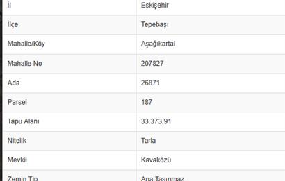 CENTURY 21 VİZYON'DAN ESKİŞEHİR AŞAĞI KARTAL’DA 330 m2 HOBİ BAHÇESİ