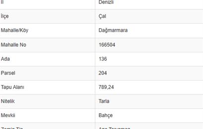 DENİZLİ DAĞMARMARA'DA YATIRIMLIK TARLA FIRSATI 