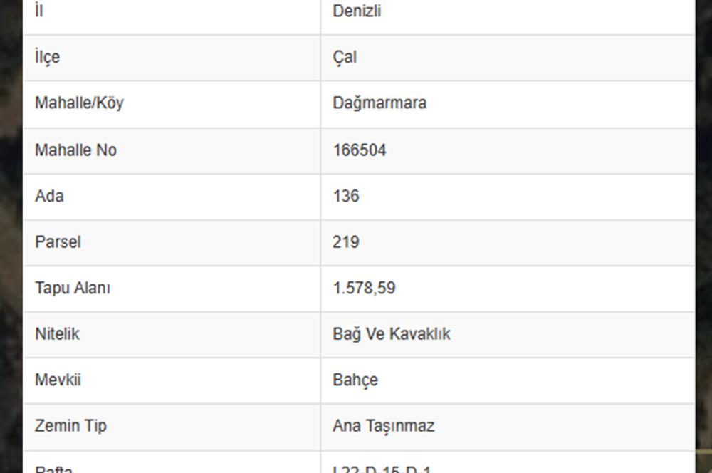 DENİZLİ DAĞMARMARA'DA BAĞ VE KAVAKLIK