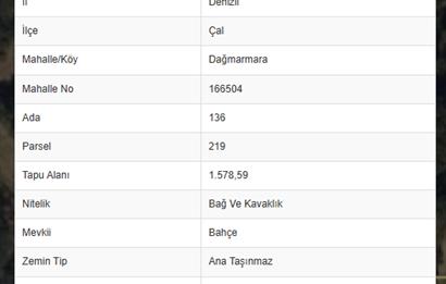 DENİZLİ DAĞMARMARA'DA BAĞ VE KAVAKLIK