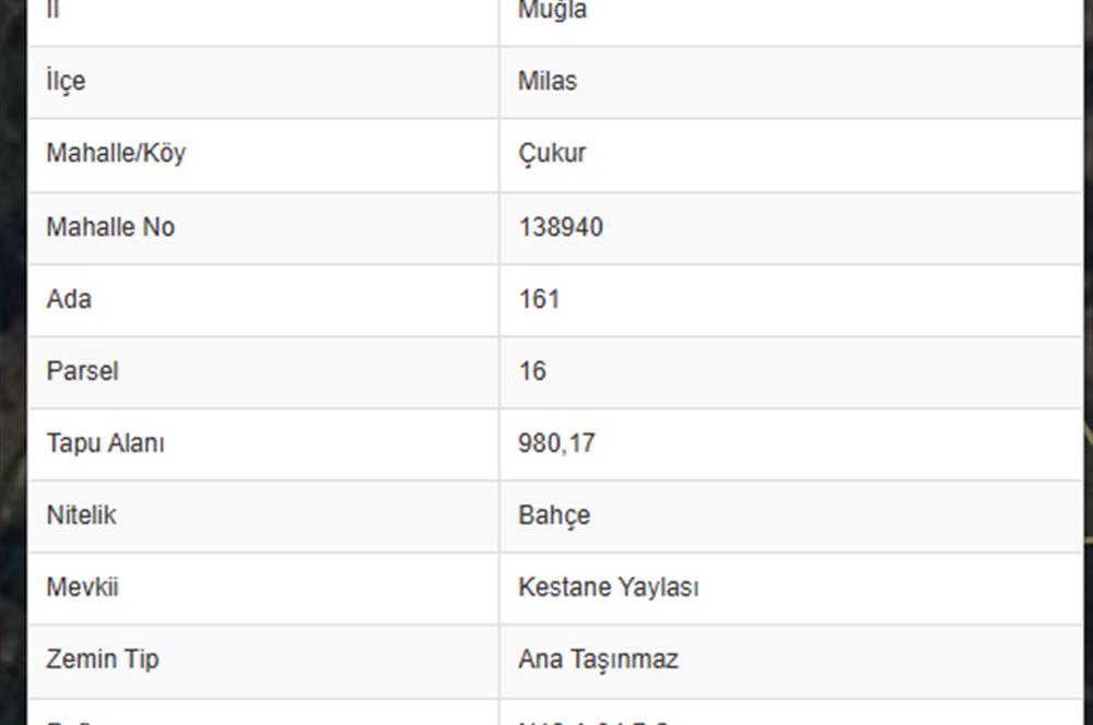 MUĞLA MİLAS'TA YATIRIM FIRSATI