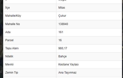 MUĞLA MİLAS'TA YATIRIM FIRSATI