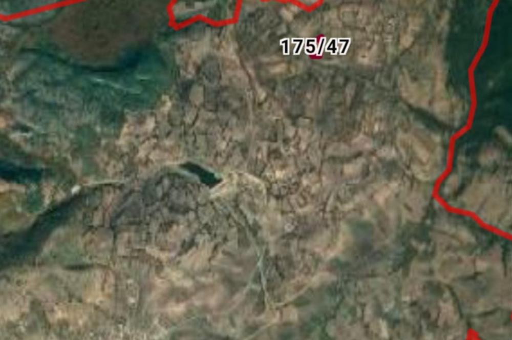 C.21 LOCA KARESİ YAĞCILARLAR MAH.SATILIK 18100M2 3 ADET TARLA