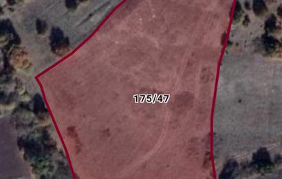 C.21 LOCA KARESİ YAĞCILARLAR MAH.SATILIK 18100M2 3 ADET TARLA