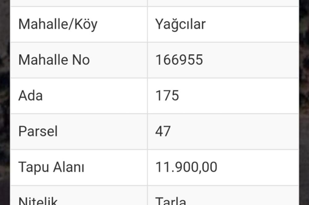 C.21 LOCA KARESİ YAĞCILARLAR MAH.SATILIK 18100M2 3 ADET TARLA