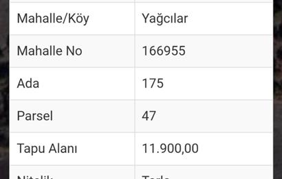 C.21 LOCA KARESİ YAĞCILARLAR MAH.SATILIK 18100M2 3 ADET TARLA