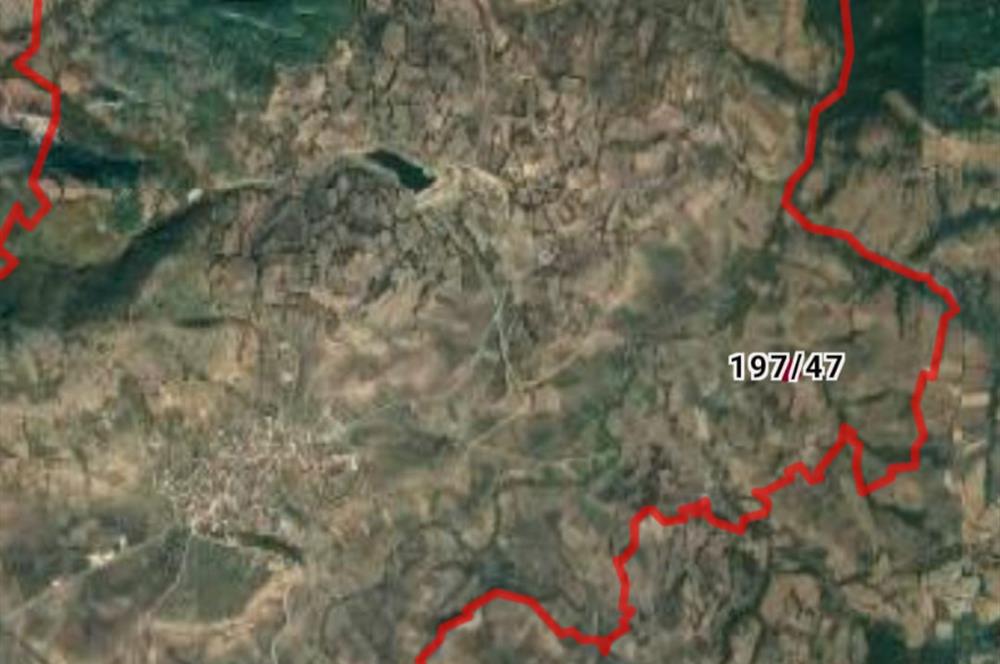 C.21 LOCA KARESİ YAĞCILARLAR MAH.SATILIK 18100M2 3 ADET TARLA