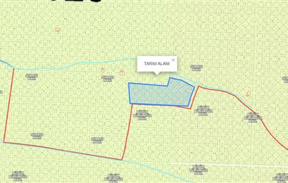 Satılık Tarla Gesi Subaşı Mahalesinde
