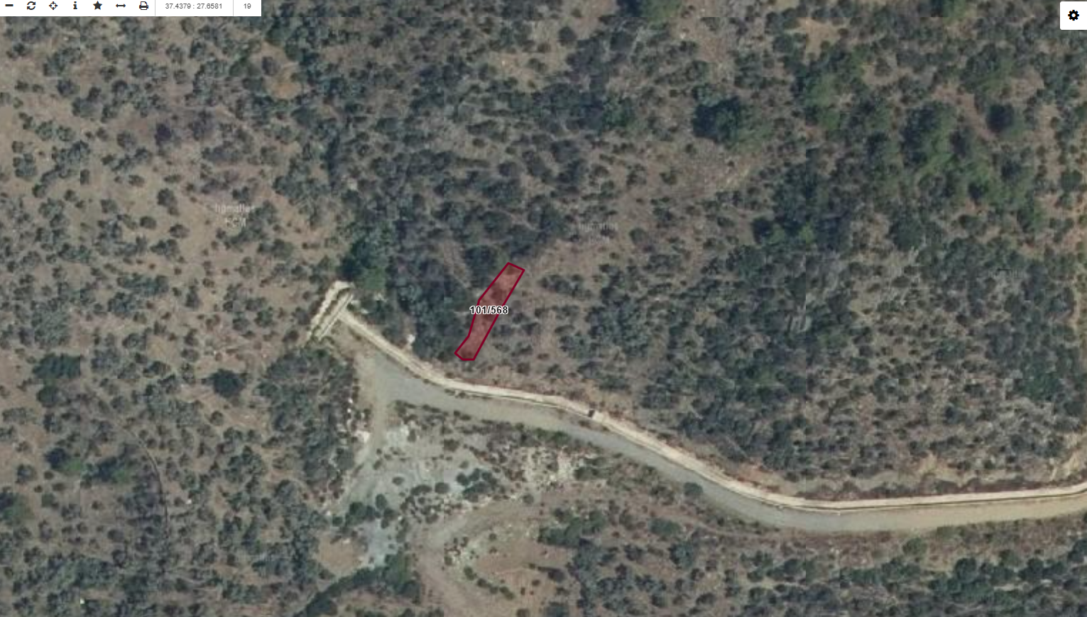 MUĞLA MİLAS'TA ZEYTİNLİK