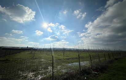 BALIKESİR/MANYAS AKÇAOVA MAHALLESİNDE SATILIK ARSA 