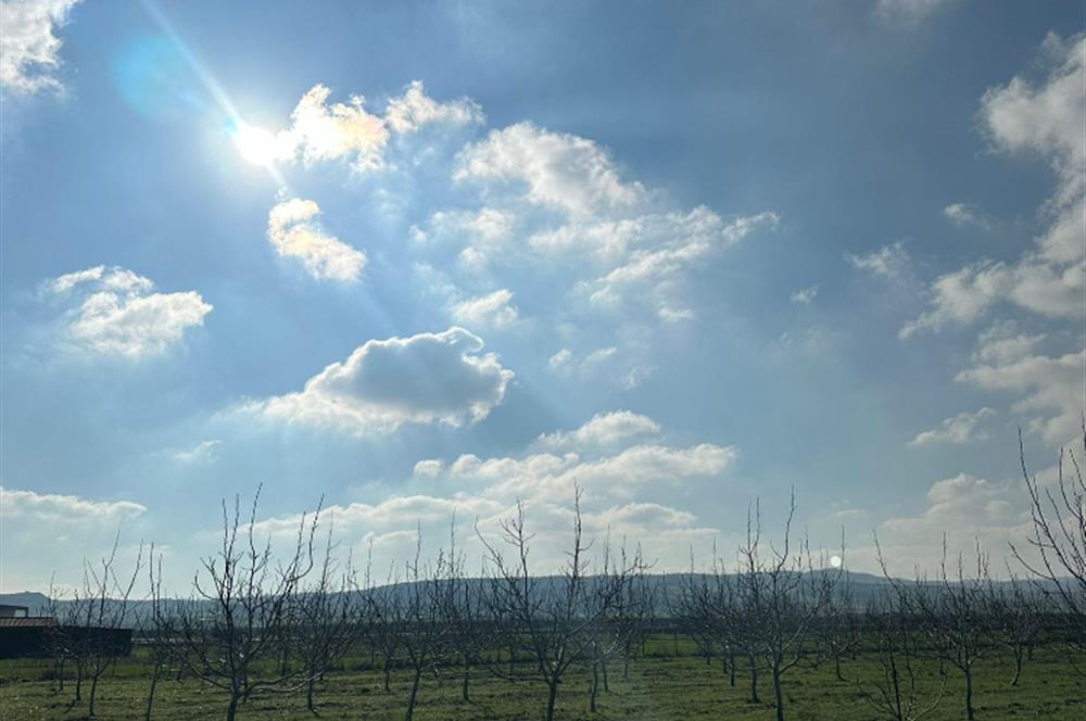 BALIKESİR/MANYAS AKÇAOVA MAHALLESİNDE SATILIK ARSA 